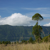 Photo de Bali - Le volcan